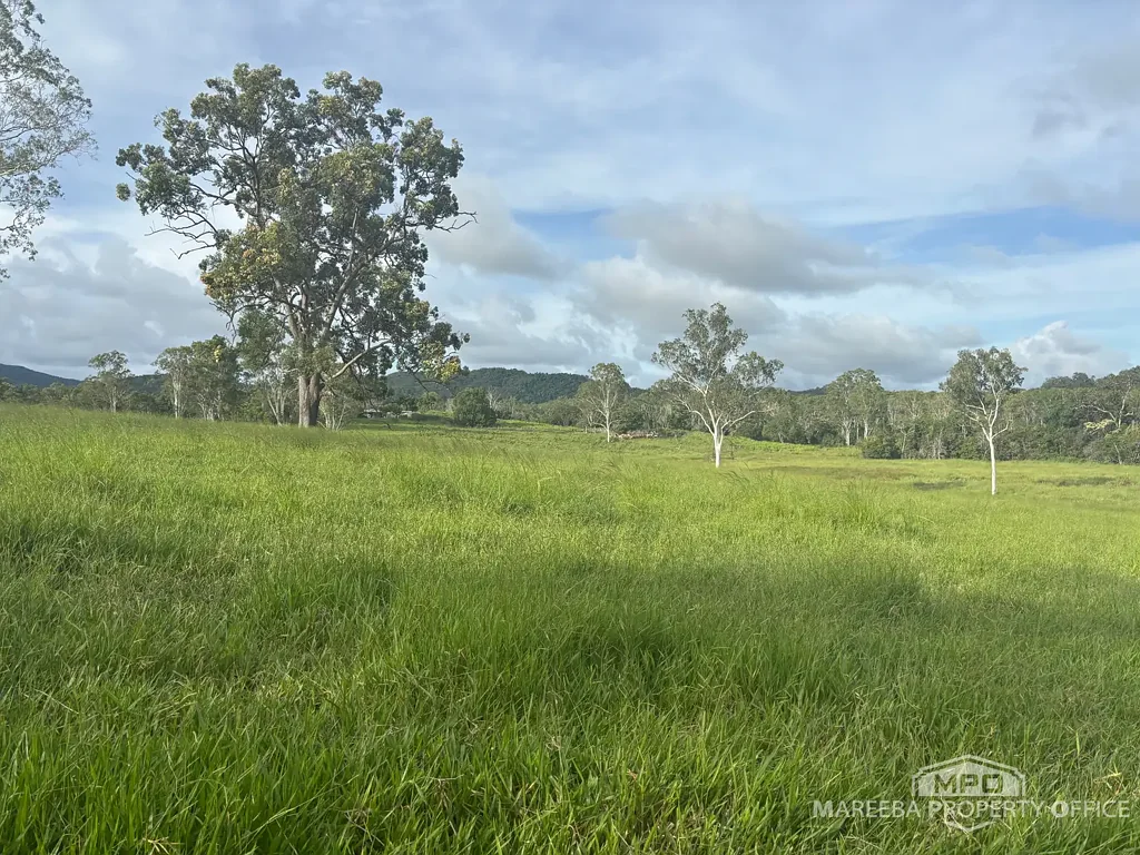 1107 Euluma Creek Road, Julatten, QLD 4871