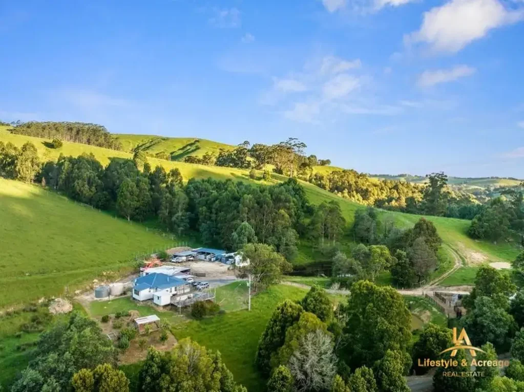 Strzelecki “Picturesque Lifestyle Haven with Panoramic Valley Views & Farming Potential”