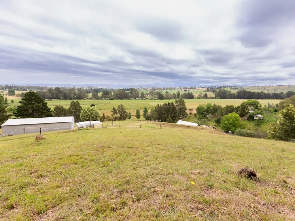 144 Murrays Flat Road, Tarraganda, NSW 2550