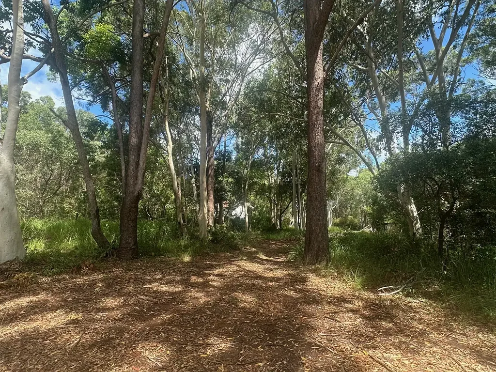 54 Villa Wood Road, Russell Island, QLD 4184