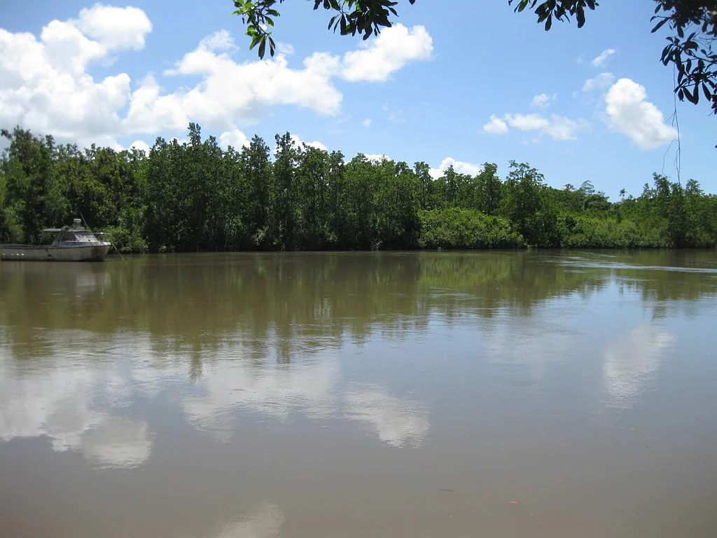 Bilyana  Fisher paradise acreage adjacent to bush boat ramp with shed, dams, paddock, adjoins National Park
