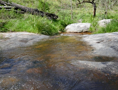 3447 Rocky River Road, Rocky River, Tamworth, 0 Kuwarto, 0 Banyo, Lifestyle Property