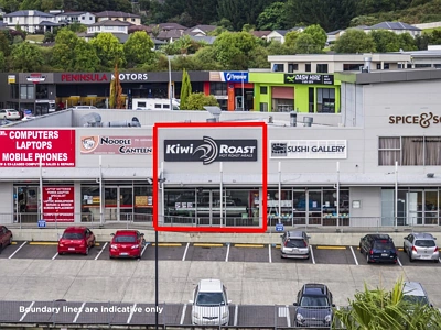 Business  Mixed Use Zone