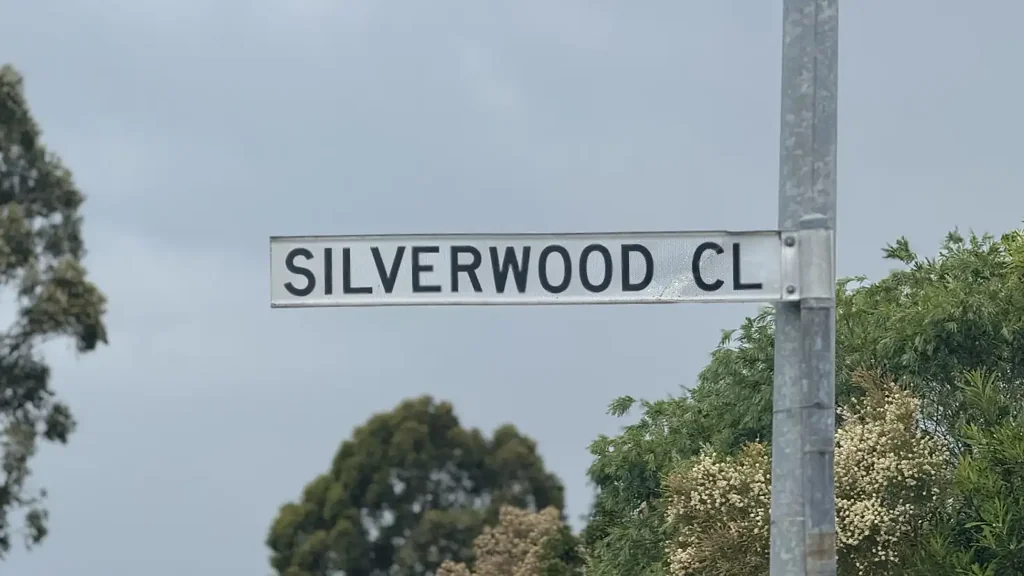 11 Silverwood Close, Medowie, NSW 2318