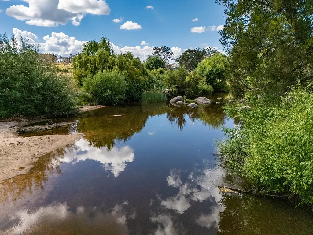 20 Trainview Street, Woolbrook, NSW 2354