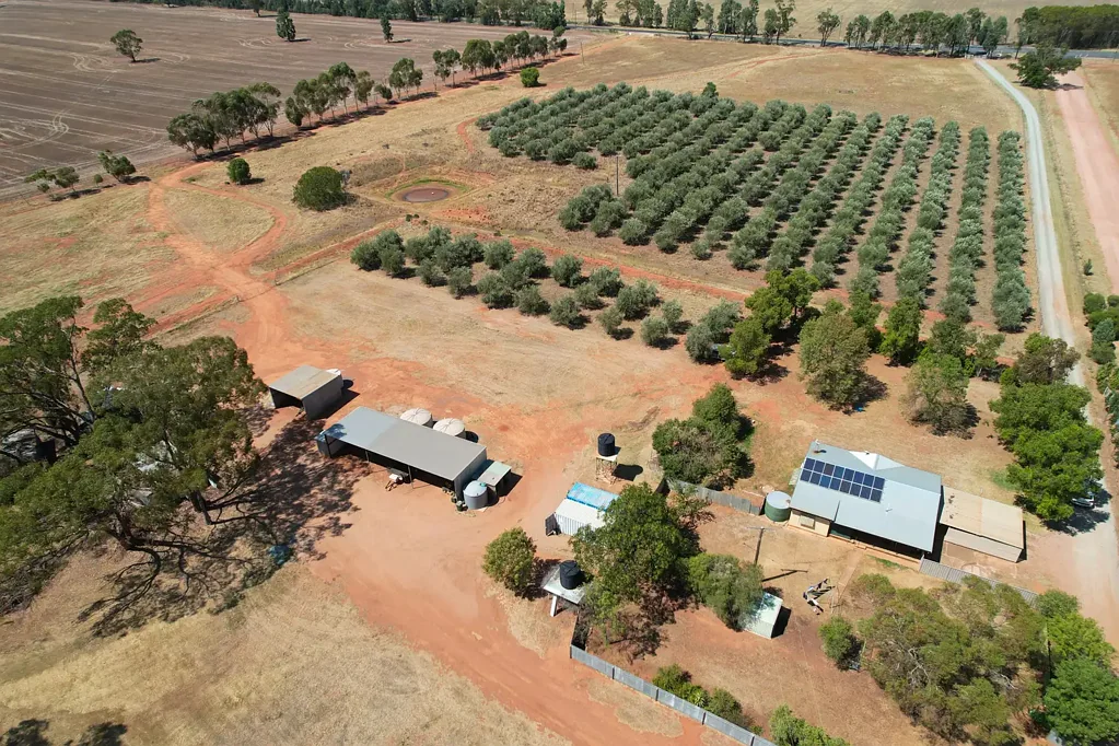 9 The Mcgrane Way, Tullamore, NSW 2874