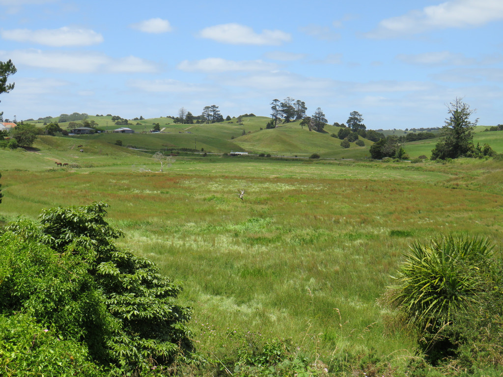 Swamp Road, Mareretu, Kaipara, 0 침실, 1 욕실