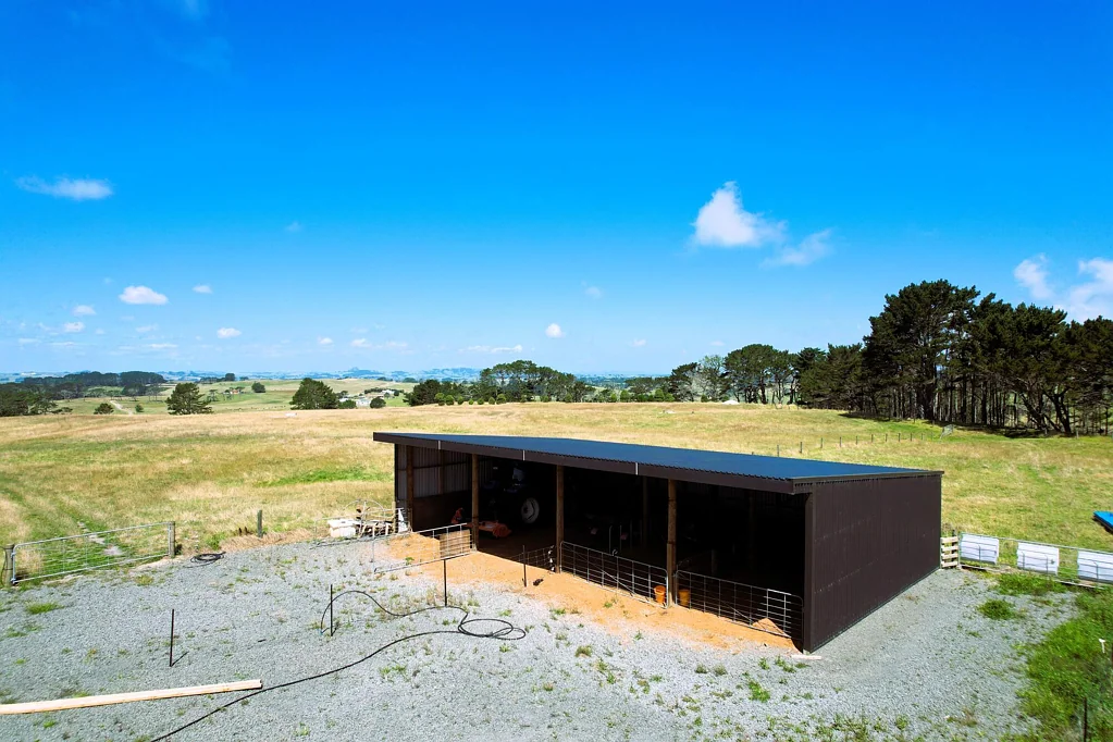 Dargaville 54ha Grazing Block  - Versatile Farming Opportunity