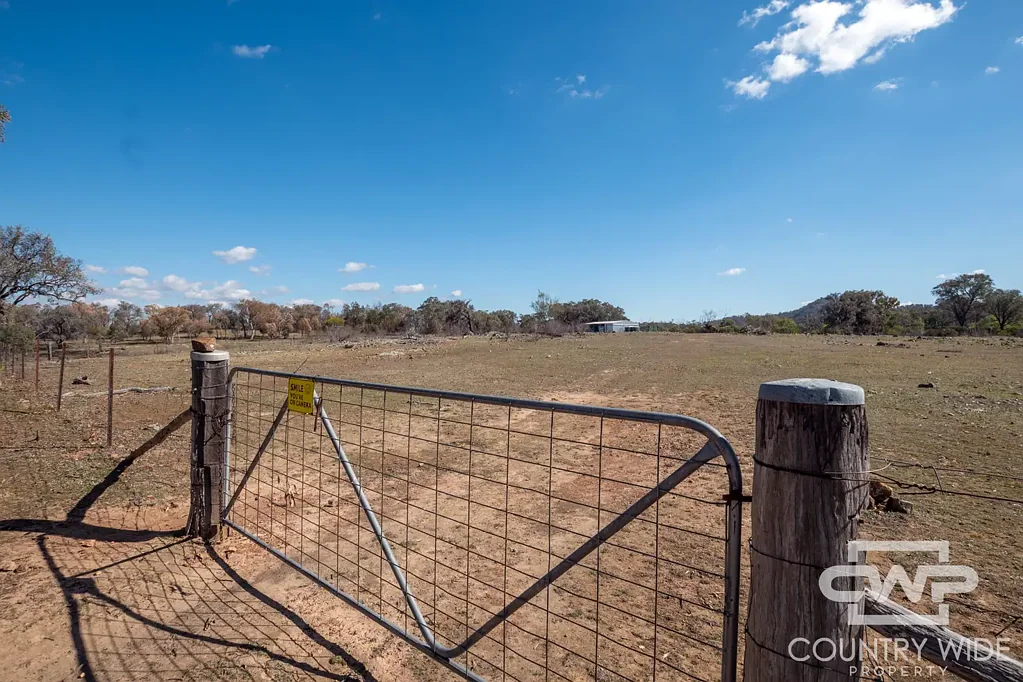 Emmaville  40 Acres with Building Entitlement