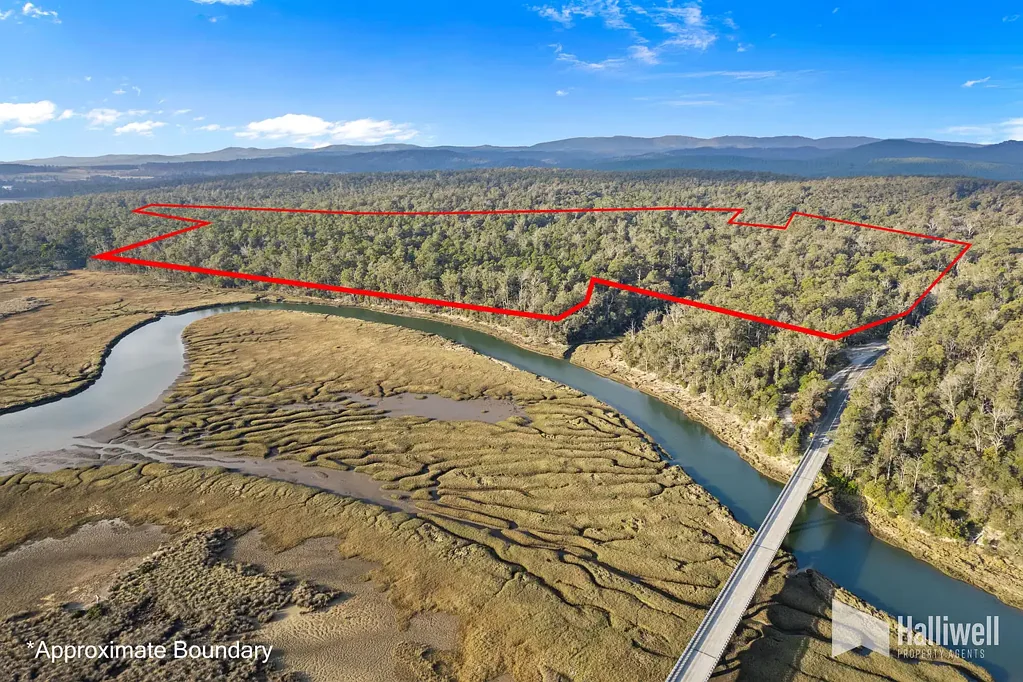 Harford Nature, Space & Serenity: 43 Hectares Bordering Reserve & River