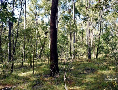 Lot 850 Arborthirtyone Road, Glenwood, Wide Bay, 0房, 0浴, Section