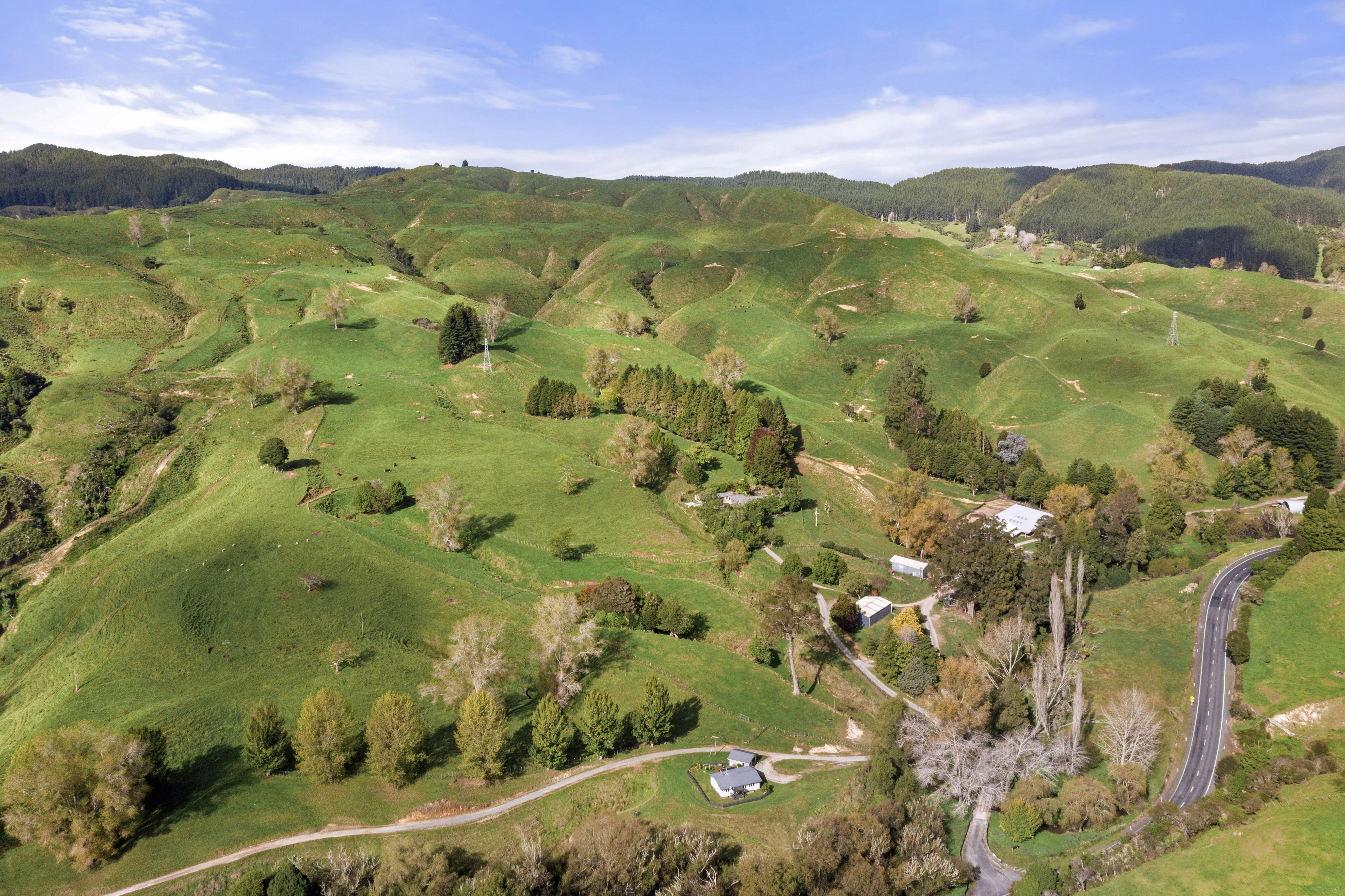 3099 State Highway 4, Aria, Waitomo, 0 phòng ngủ, 0 phòng tắm, Specialist Livestock