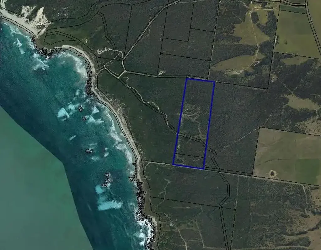 Nugara  West Coast Wonder