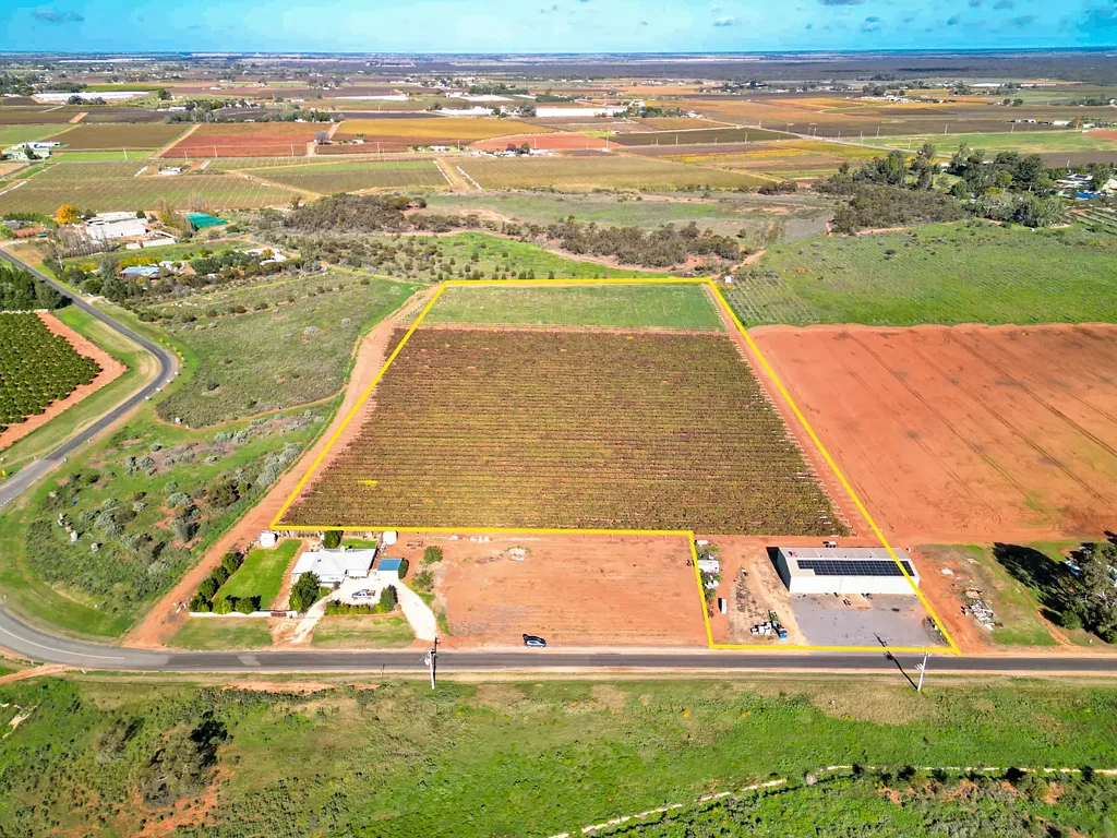 Cardross Vineyard Opportunity, Extensive Shedding & Cool Room