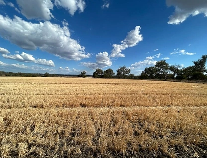 Lot 1 & 2/768 Oakey-Pittsworth Road, Aubigny, Darling Downs, 0部屋, 0バスルーム, Lifestyle Property