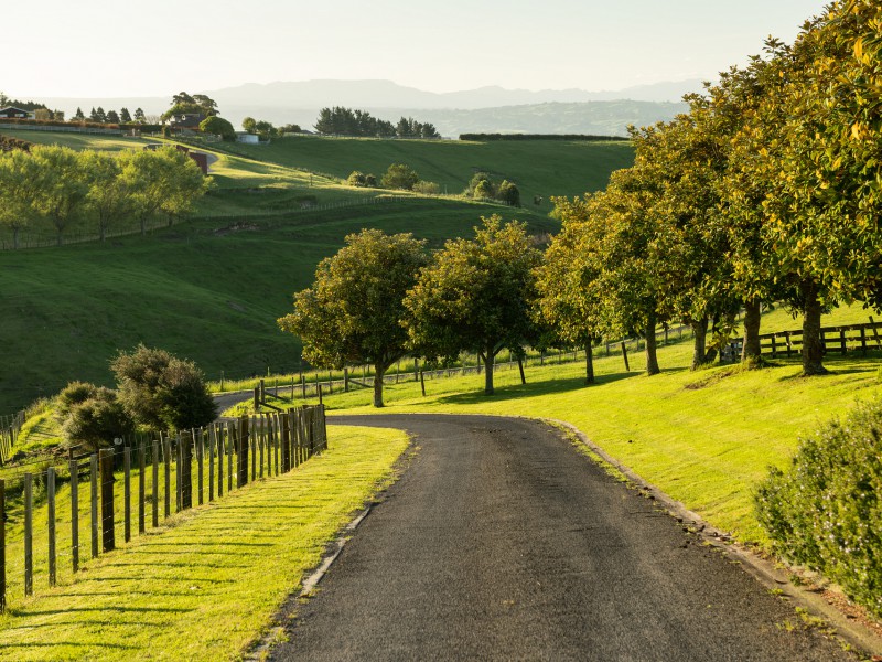 11f Adrine Lane, Ohauiti, Tauranga, 4 rūma, 4 rūma horoi