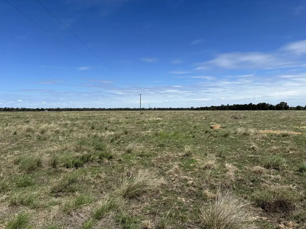 Goondiwindi  GOONDIWINDI, POSITION, FENCING, WATER, SOIL, ACCESS