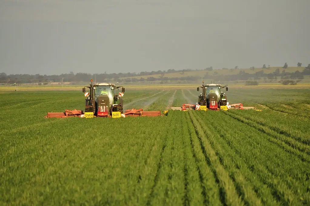 Forbes Large Scale production - A Lachlan Valley Gem