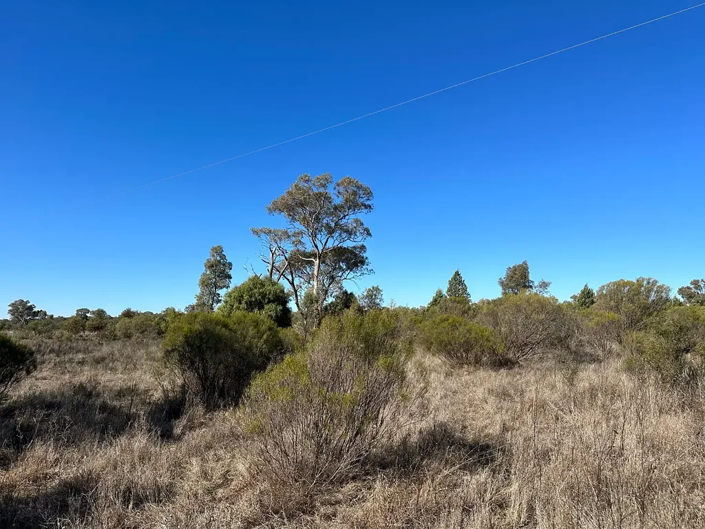 22 Balowra Road, Nymagee, NSW 2831