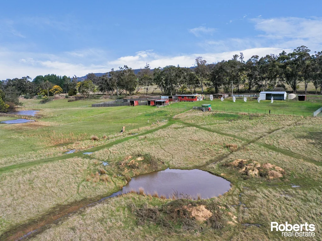 158 Ellendale Road, Westerway, TAS 7140