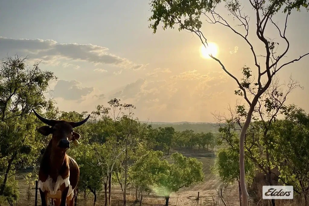 7783 Stuart Highway, Adelaide River, NT 846