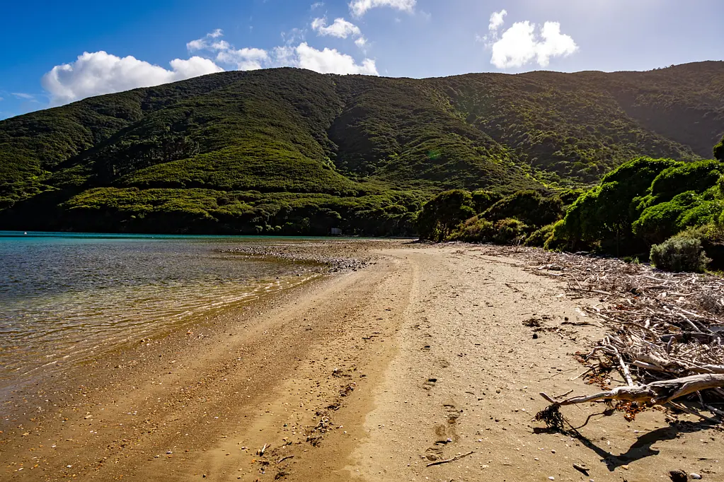 Marlborough Sounds Your Slice of the Sounds - A Dream Opportunity