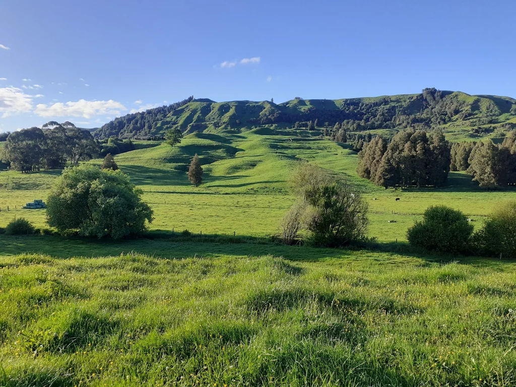 Te Kuiti  Great location close to town