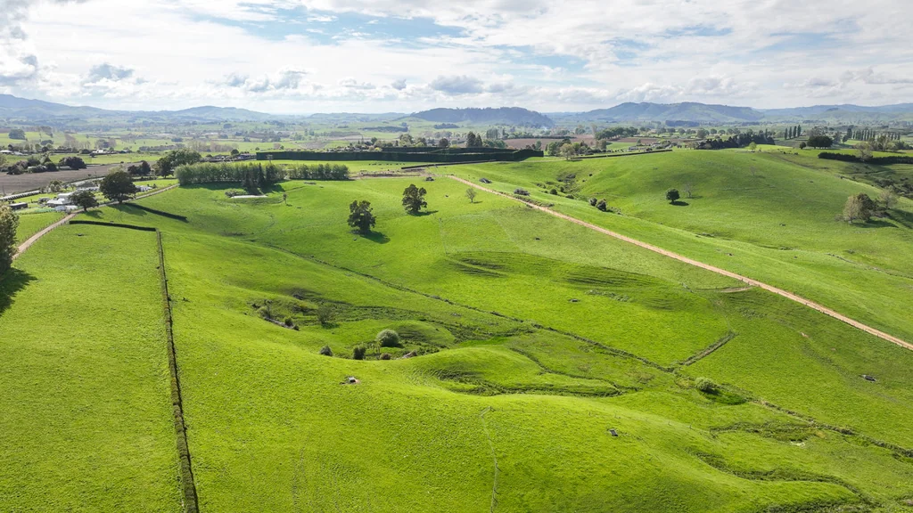Te Awamutu Te Kawa Dairy Farm - 116.47 ha (approx.)