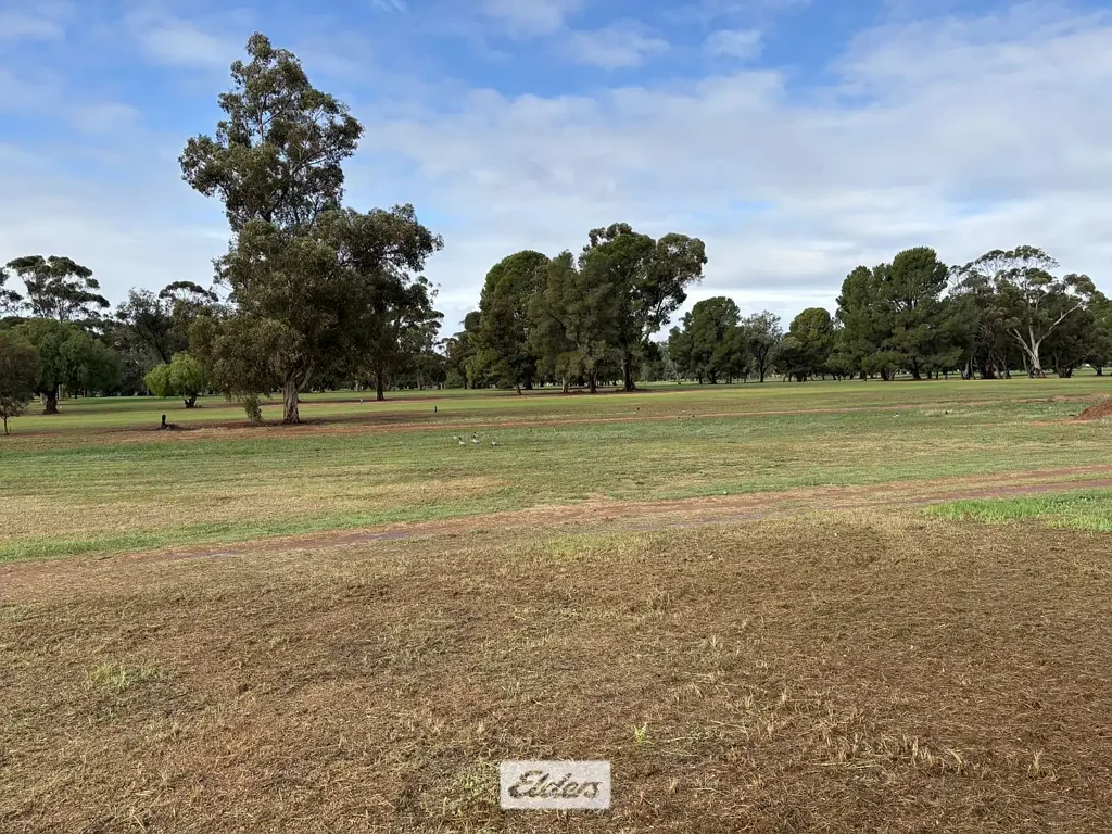 Robinvale  WOW!!!!! What an opportunity