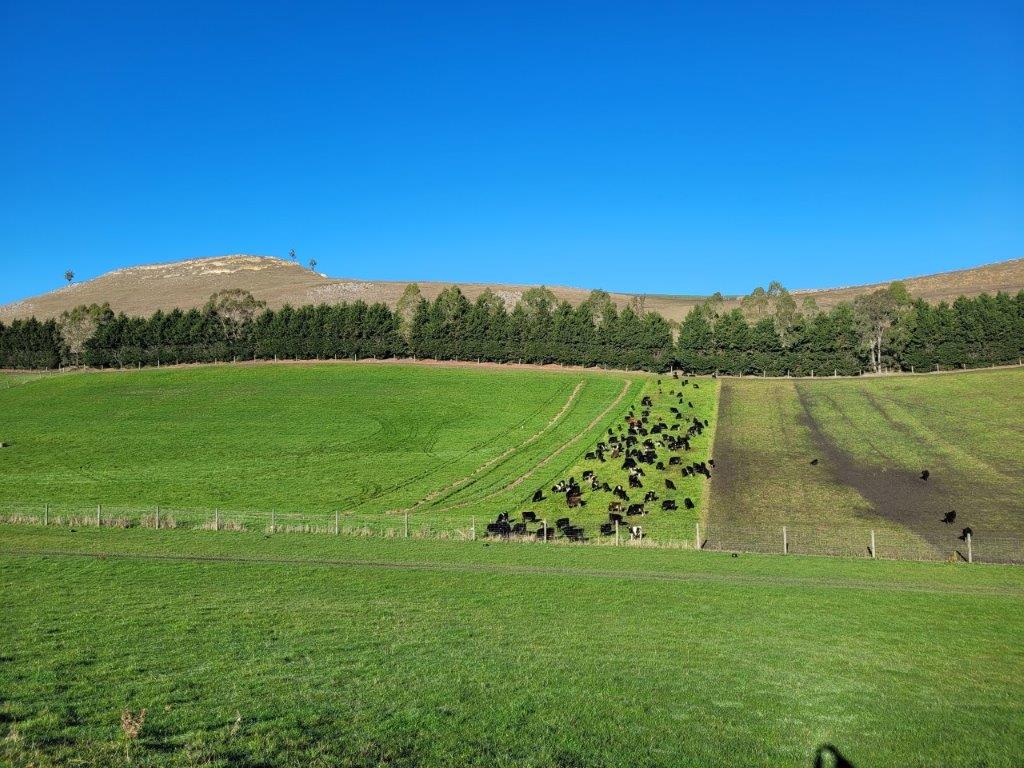 Turfus Camp Road, Rosebery, Waitaki, 0房, 1浴, Finishing