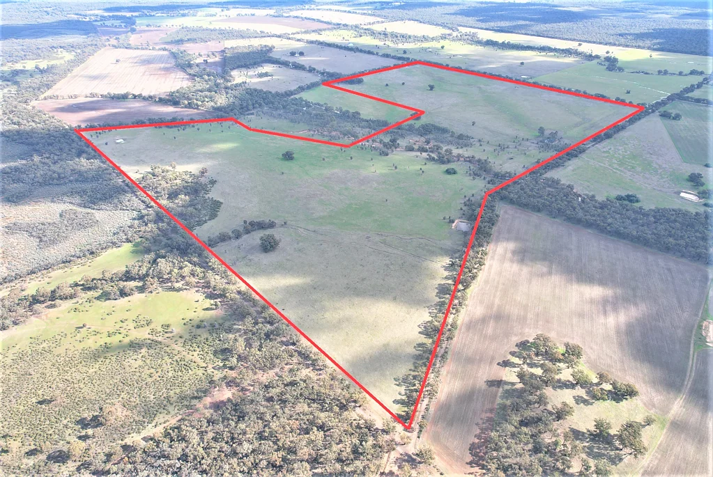 Kurting  INGLEWOOD KURTING DISTRICT