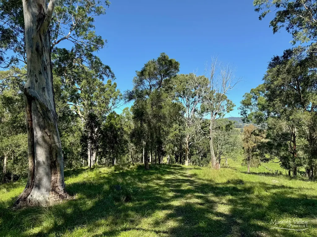 Bunyah Embrace the Rural Lifestyle!