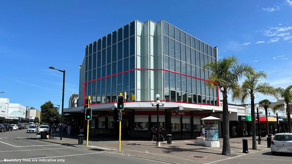 Napier South Modern and central office with a view