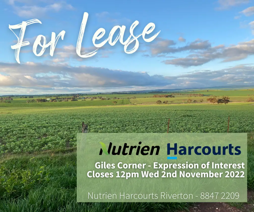 Giles Corner For Lease - Prime Farming Land