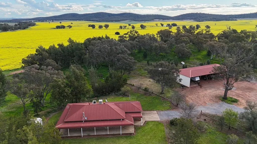 Eugowra Superior Multi Award Winning Cropping Country