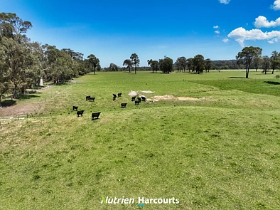 111 Old Walhalla Road, Toongabbie, VIC 3856, 0 slaapkamers, 0 badkamers, Lifestyle Property