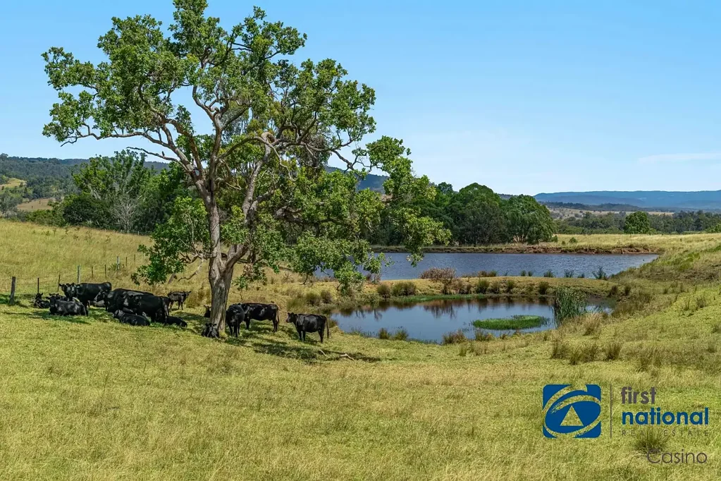 10366 Mount Lindesay Road, Legume, NSW 2476