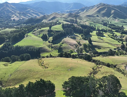 84 Falloon Settlement Road, Masterton, Masterton, 0 Kuwarto, 0 Banyo, Lifestyle Section