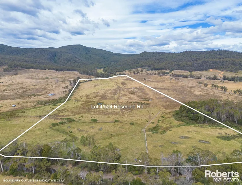 LOT 4, 11, 12, 13/524 Rosedale Road, Bicheno, South East, 0 ห้องนอน, 0 ห้องน้ำ, Section