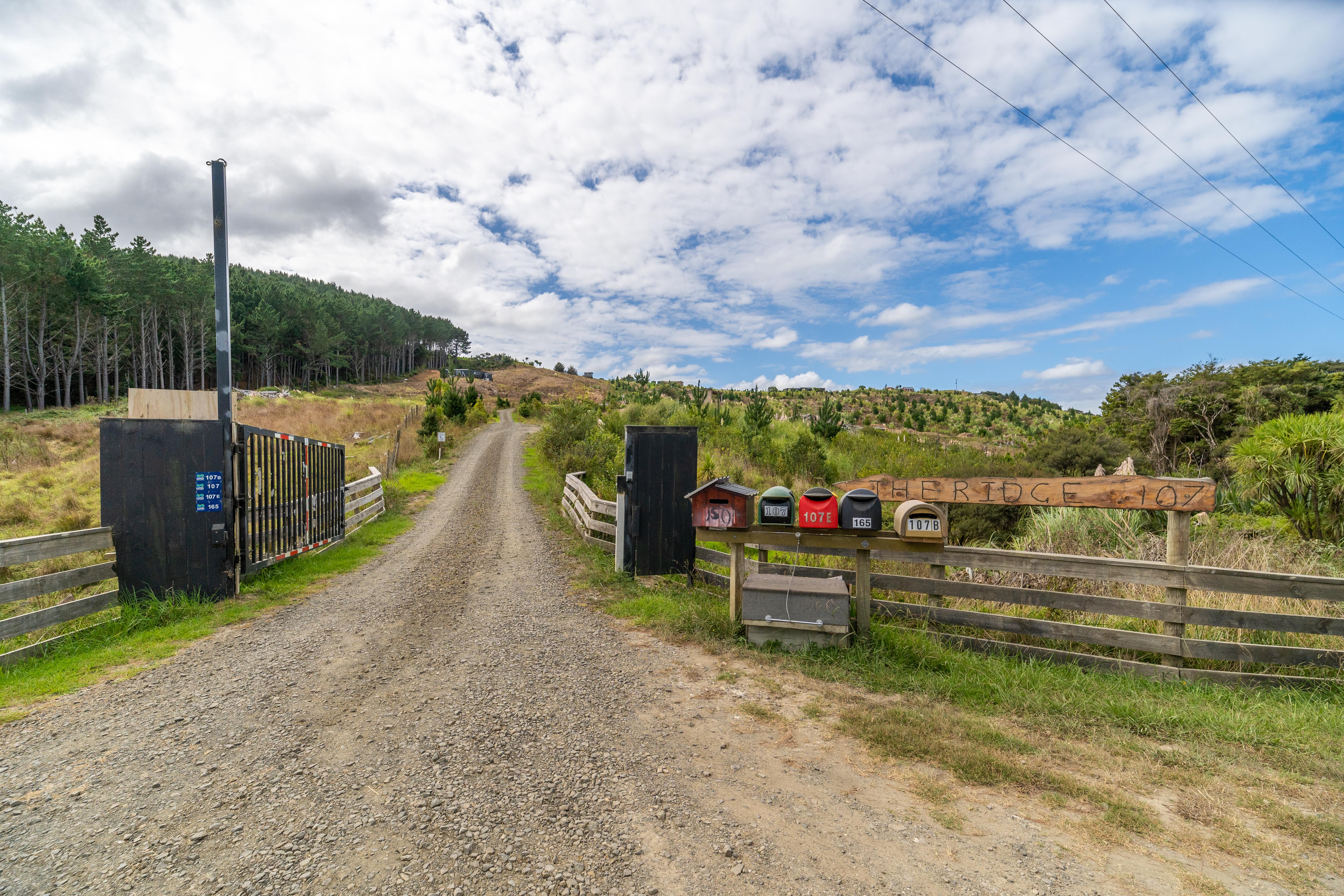 165 Hall Road, Tinopai, Kaipara, 0 ਕਮਰੇ, 0 ਬਾਥਰੂਮ