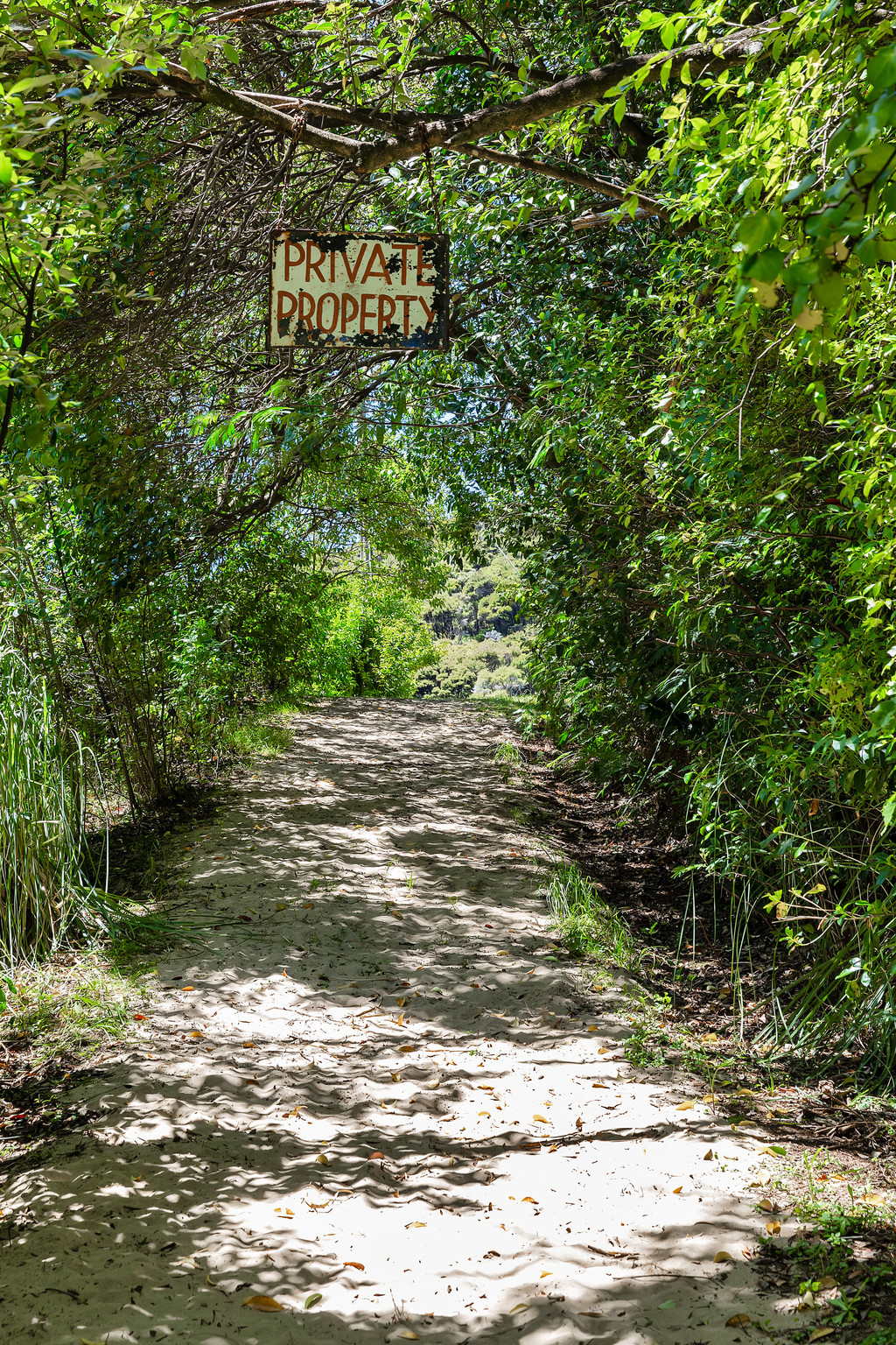 64 Te Maika Road, Ngunguru, Whangarei, 3 rūma, 0 rūma horoi