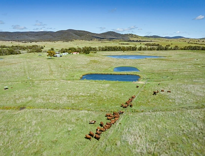 Lot 16 McMeniman Road, Ballandean, Darling Downs, 4房, 3浴, Lifestyle Property