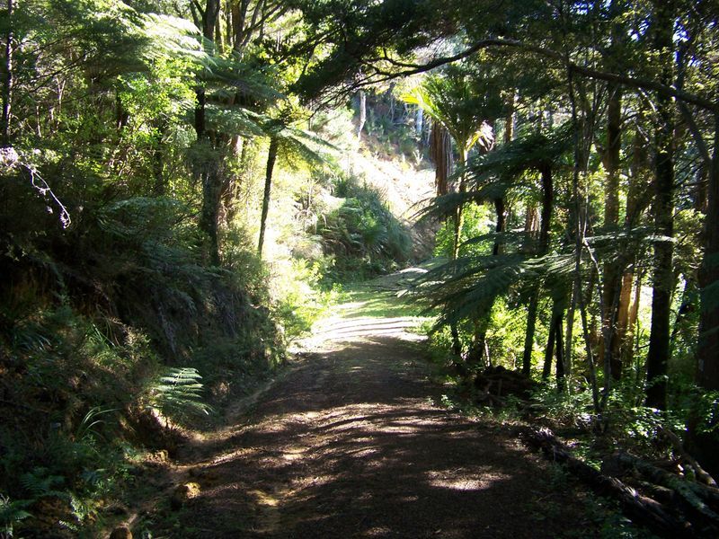 Pukenui Road, Ngunguru, Whangarei, 0部屋, 1バスルーム