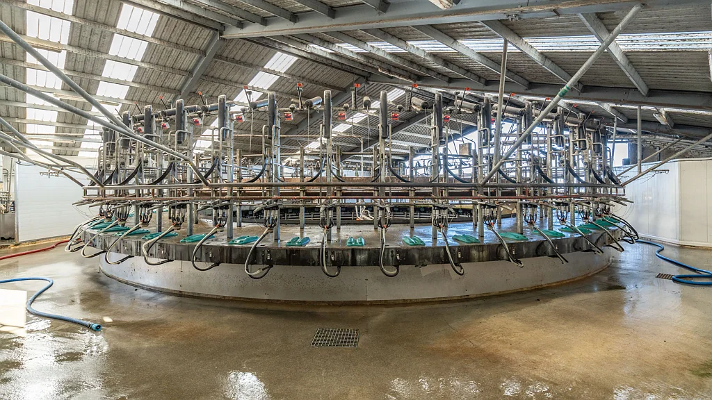 Rakaia Seldom Available - 223ha Tier One Dairy Farm