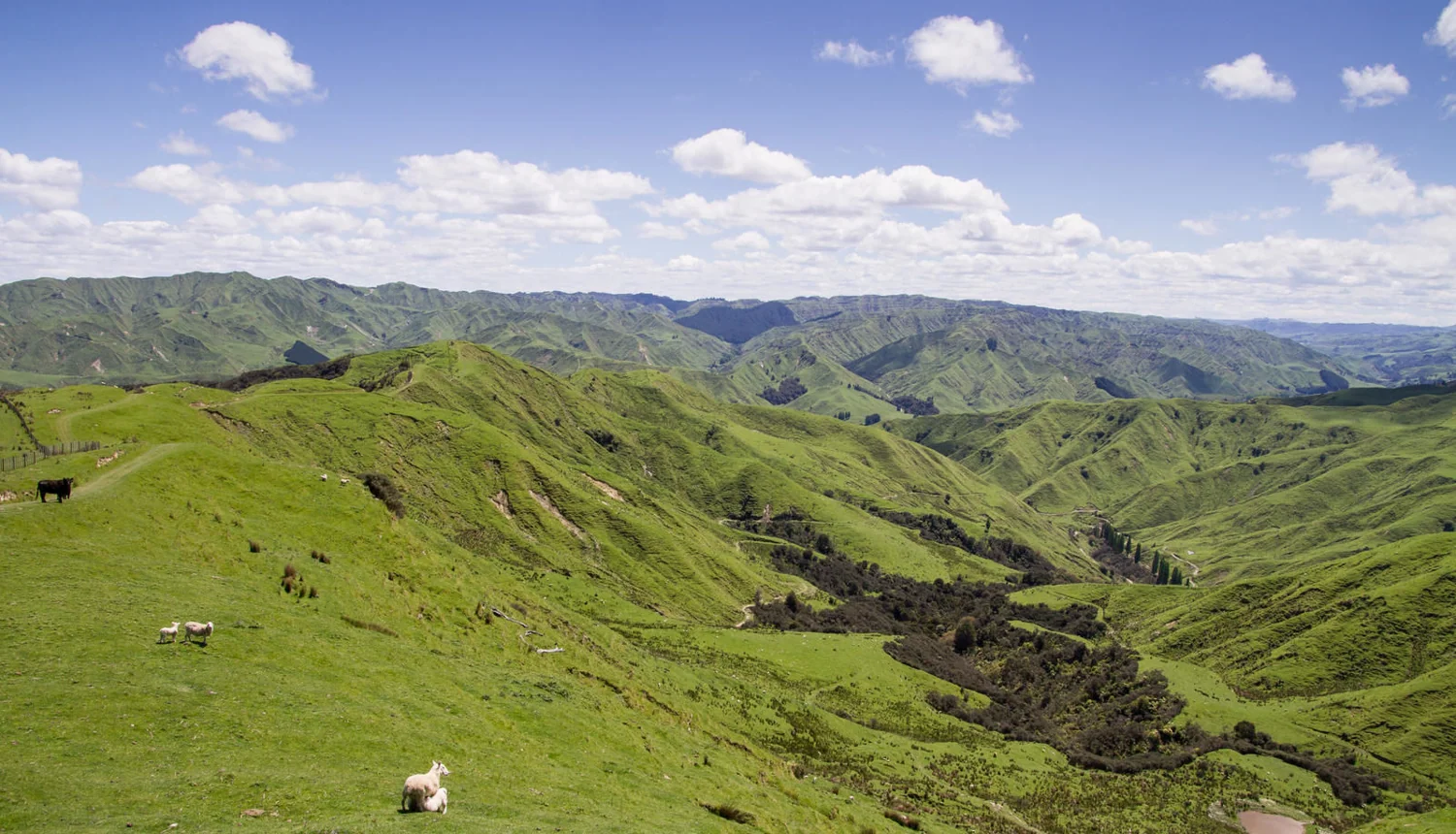 4064 State Highway 4, Kakatahi, Wanganui, 0 Kuwarto, 0 Banyo
