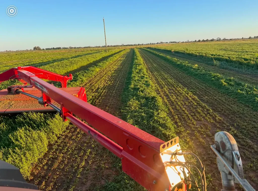 Forbes FLOOD FREE IRRIGATION- BEEF, SHEEP, FEEDLOT & FODDER OPPORTUNITY