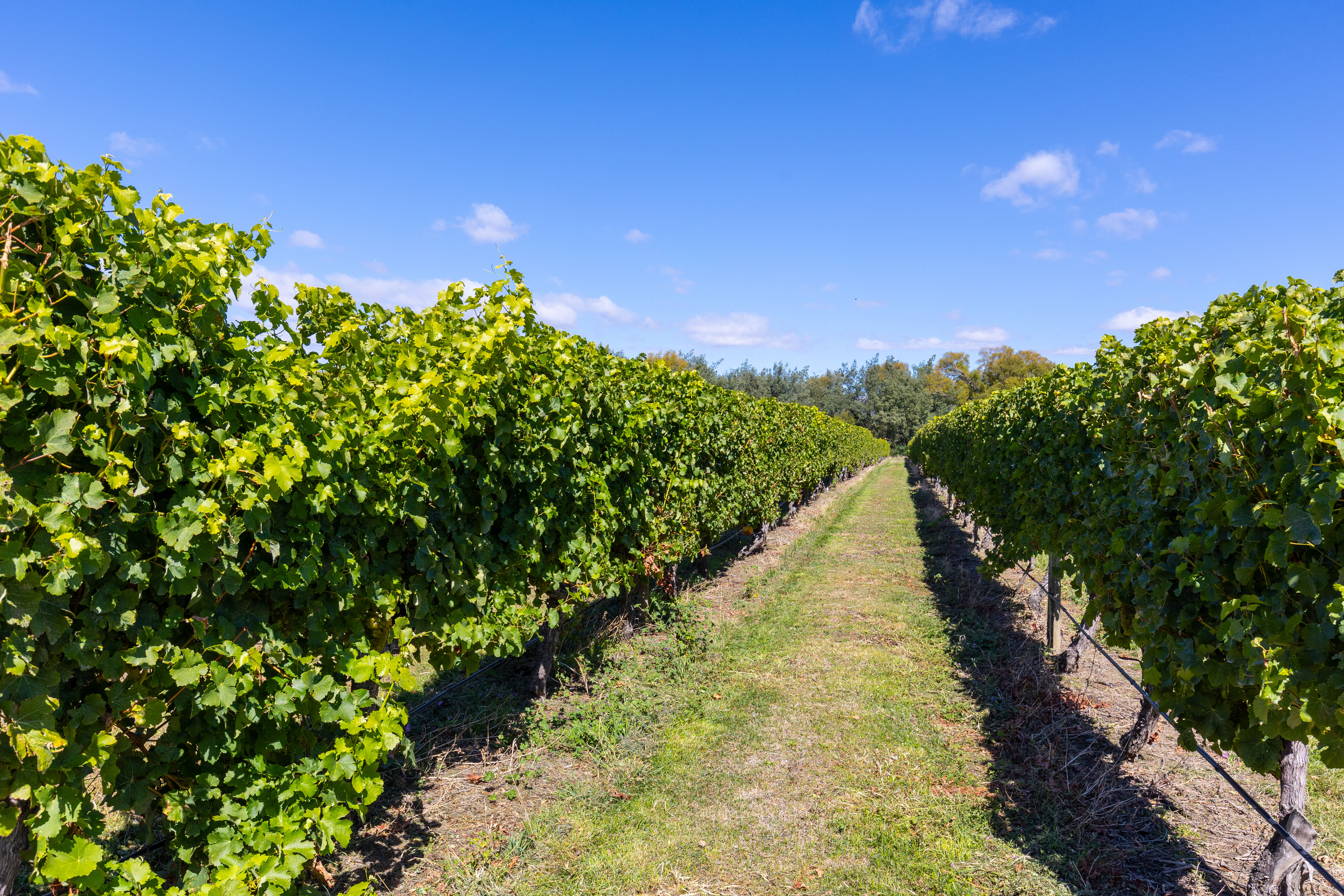 Hawkesbury Road, Hawkesbury, Marlborough, 0 Schlafzimmer, 0 Badezimmer, Bare Land