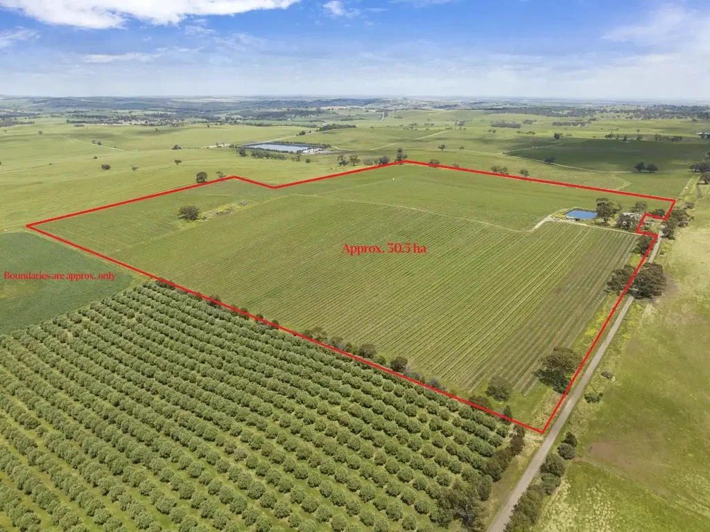 Auburn "Bass Hill " A Clare Valley Opportunity – Elevated Country Living with Exceptional Value