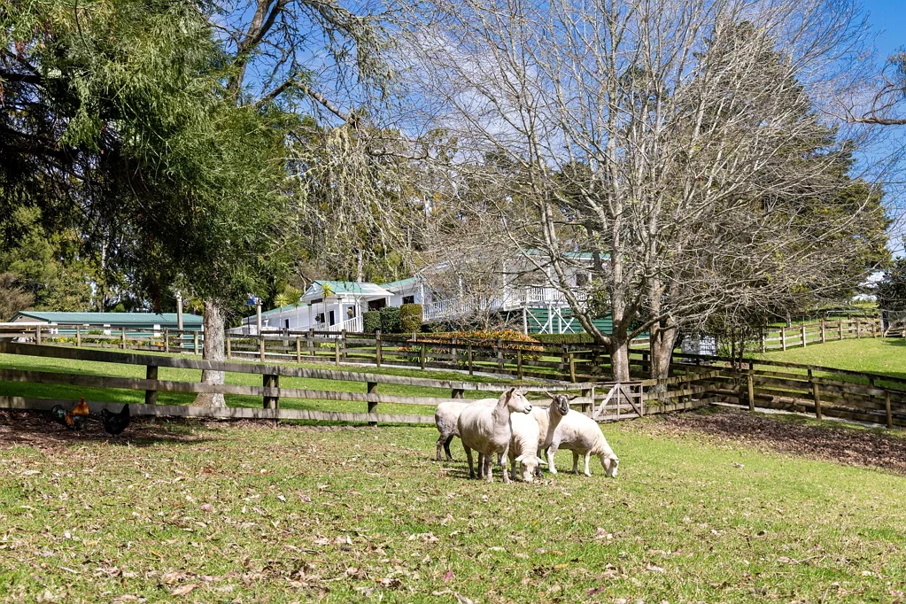 Wellsford  Country Comfort with Space to Thrive
