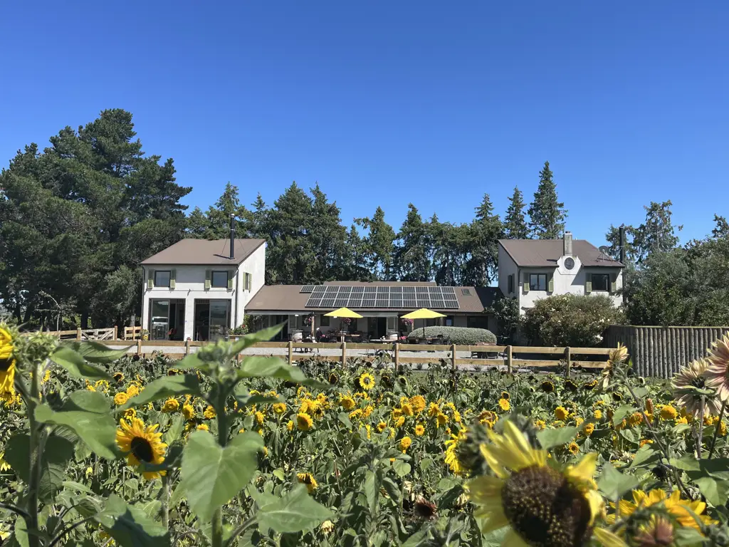 Waipara  Lifestyle & Business Opportunity